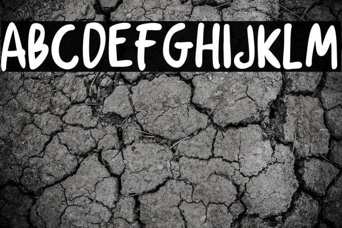 Chicken Soup Example 2