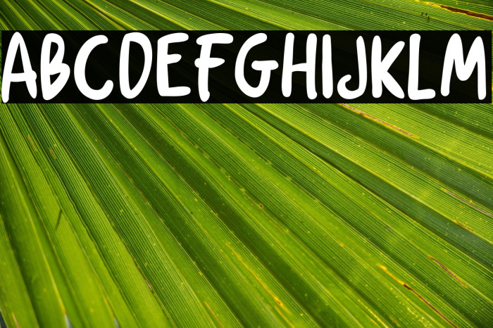 Chicken Soup Example 3