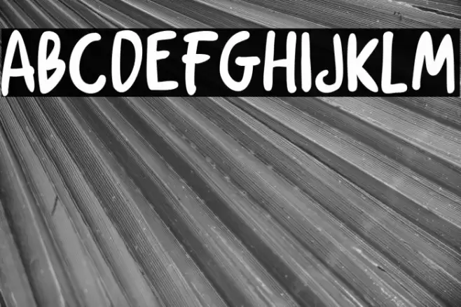 Chicken Soup Font examples