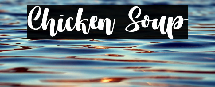 Chicken Soup Example 1