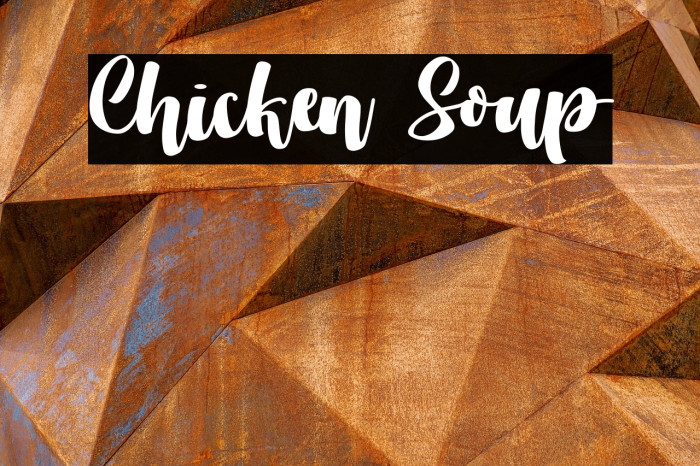 Chicken Soup Example 2