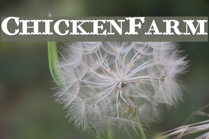ChickenFarm Font examples