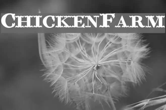 ChickenFarm Font examples