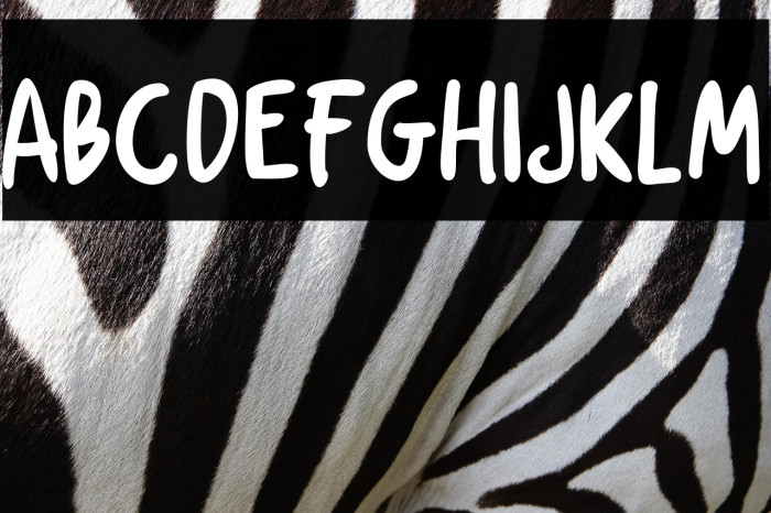 ChickenSoup Example 3