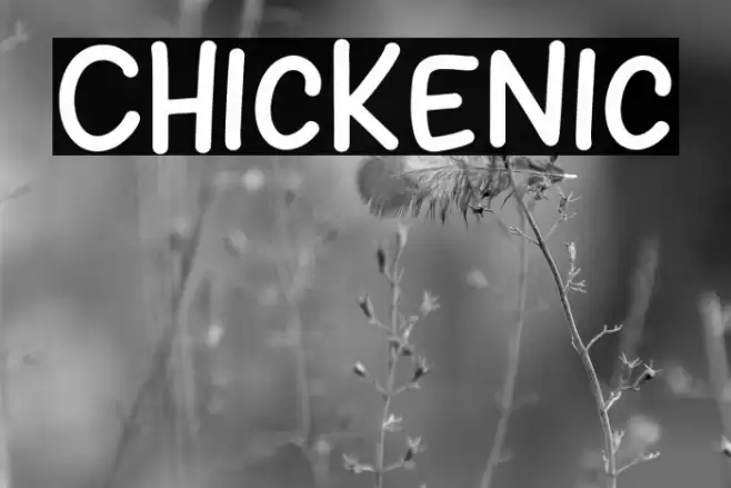 Chickenic 字体 examples