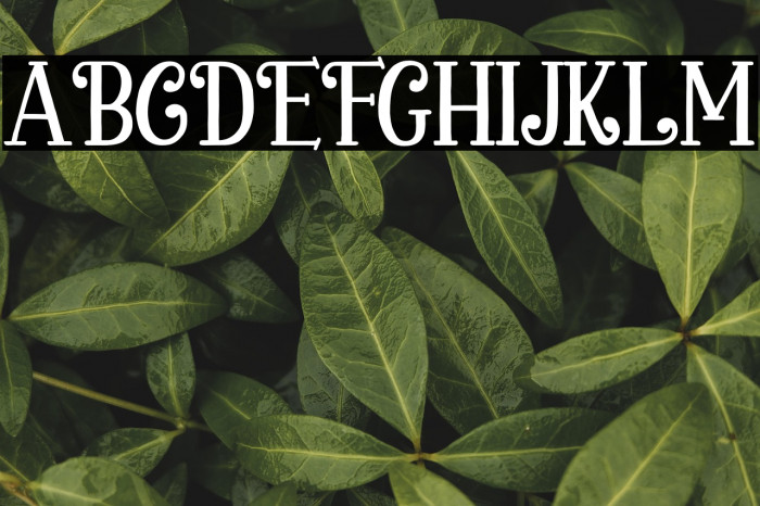 Chickens Lovers Example 2