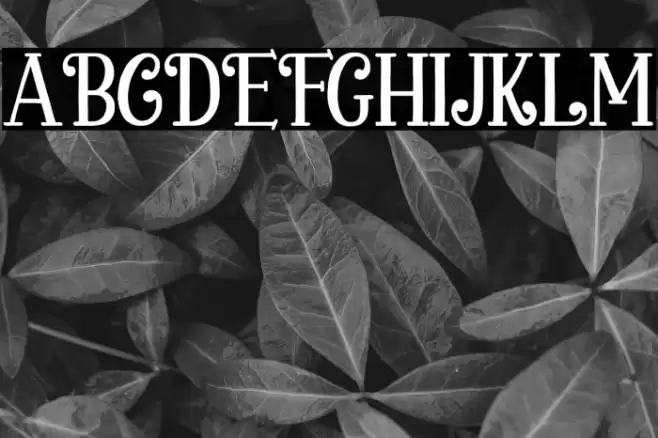 Chickens Lovers Font examples