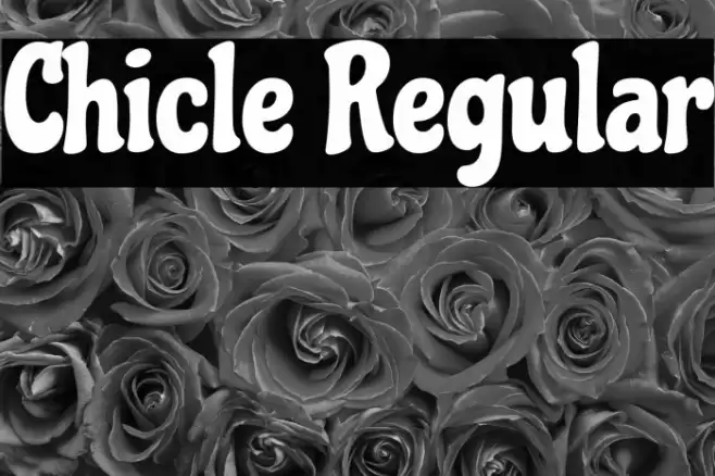 Chicle Regular Font examples