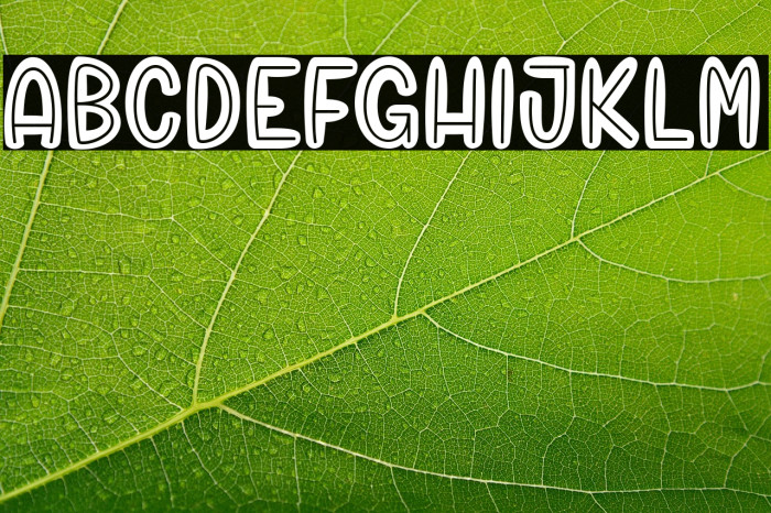 Chico Rocket_PersonalUseOnly Example 1