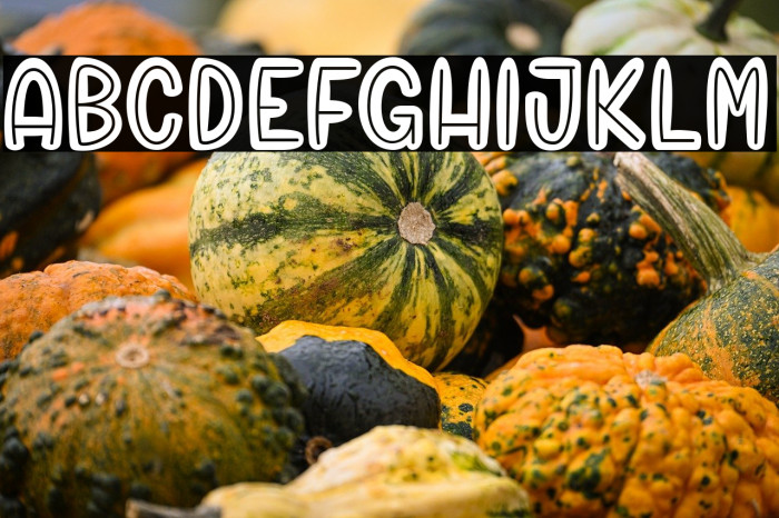 Chico Rocket_PersonalUseOnly Example 2