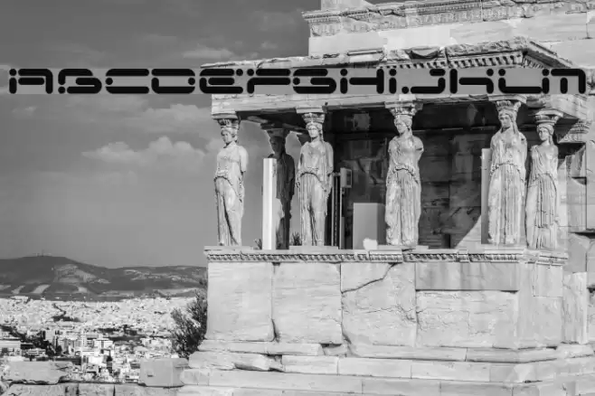 Chicory Polices examples