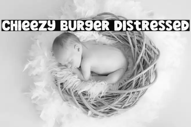 Chieezy Burger Distressed Font examples