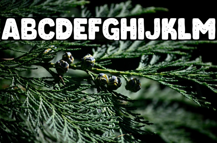 ChieezyBurger-Distressed Example 3