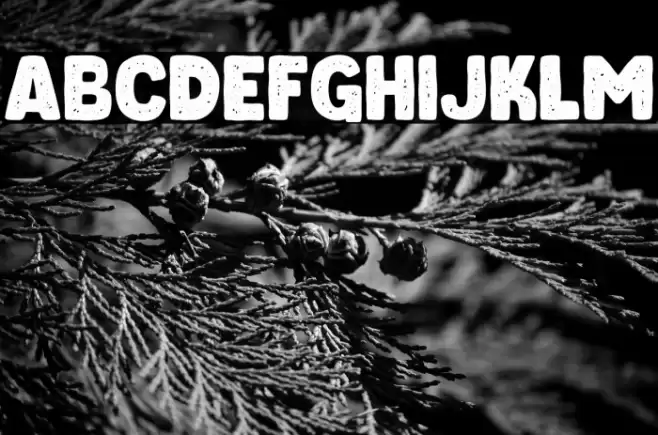 ChieezyBurger-Distressed Font examples