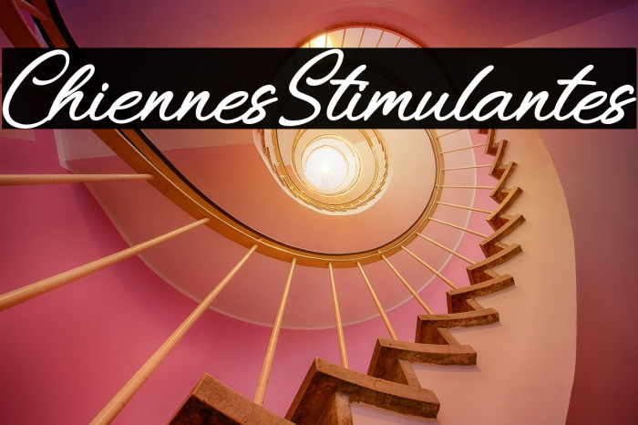 ChiennesStimulantes Example 1