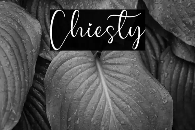 Chiesty Font examples