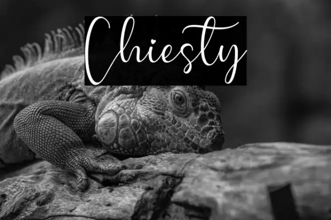 Chiesty Font examples
