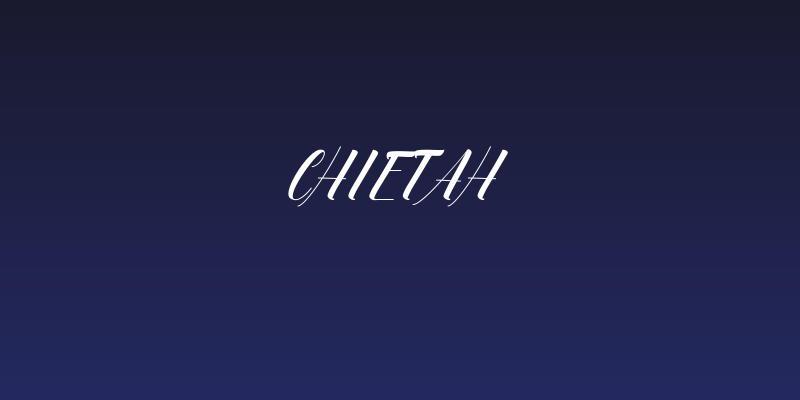 Chietah Social Header