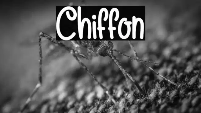 Chiffon Font examples