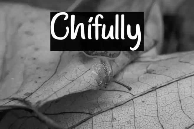 Chifully Font examples