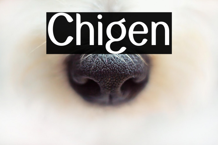 Chigen Example 1