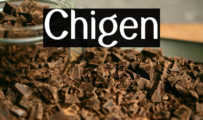 Chigen Example 2