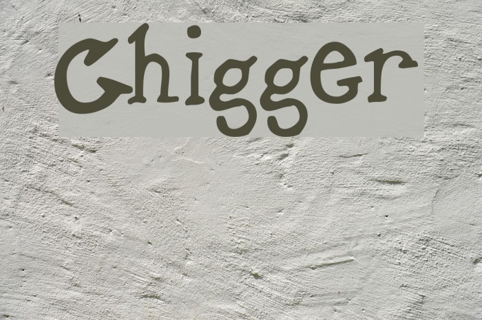 Chigger Font examples