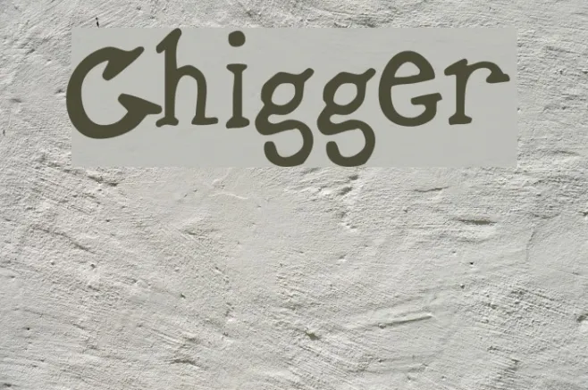 Chigger Example 1