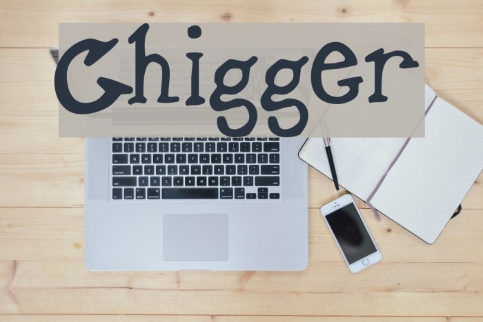 Chigger Font examples