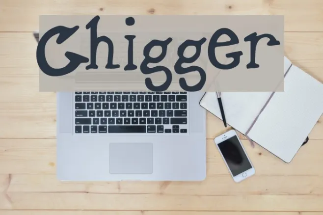 Chigger Example 2