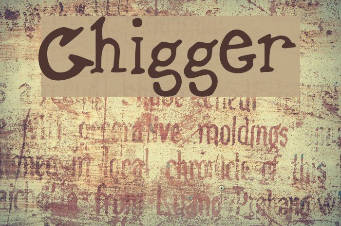 Chigger Font examples
