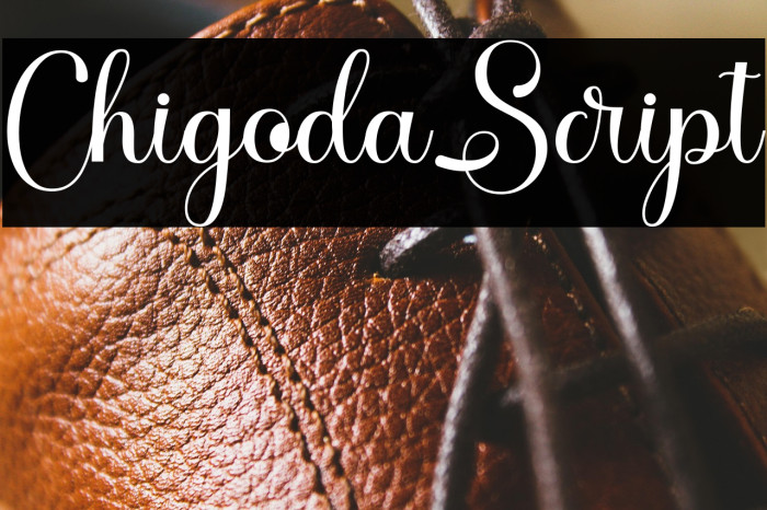 ChigodaScript Example 1