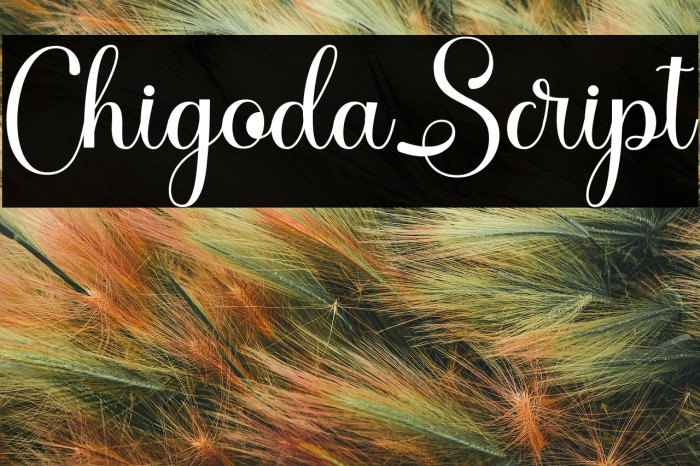 ChigodaScript Example 2