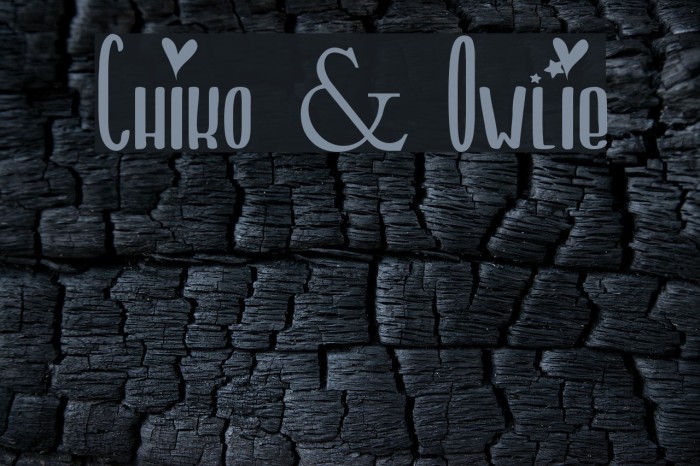 Chiko & Owlie Example 1