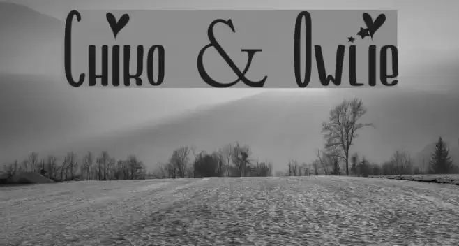 Chiko & Owlie Font examples