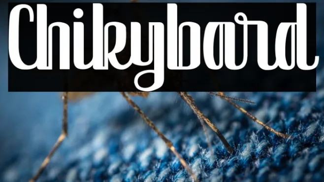 Chikybard Example 1