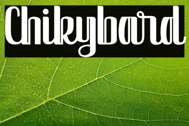 Chikybard Example 3