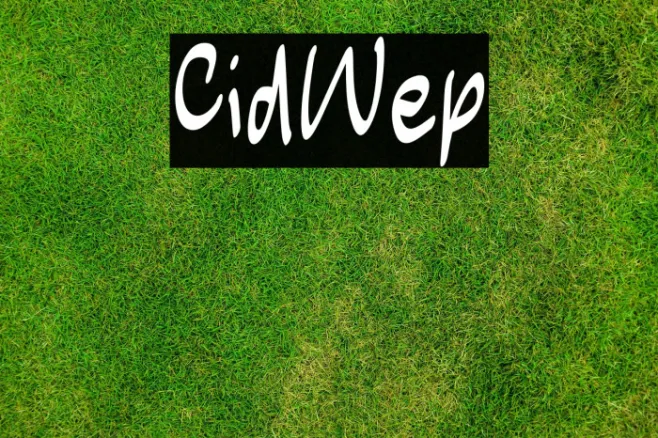 Child Wep Example 2