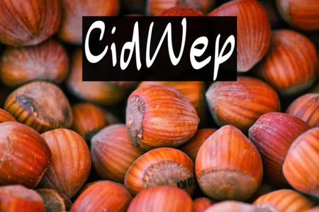 Child Wep Example 3