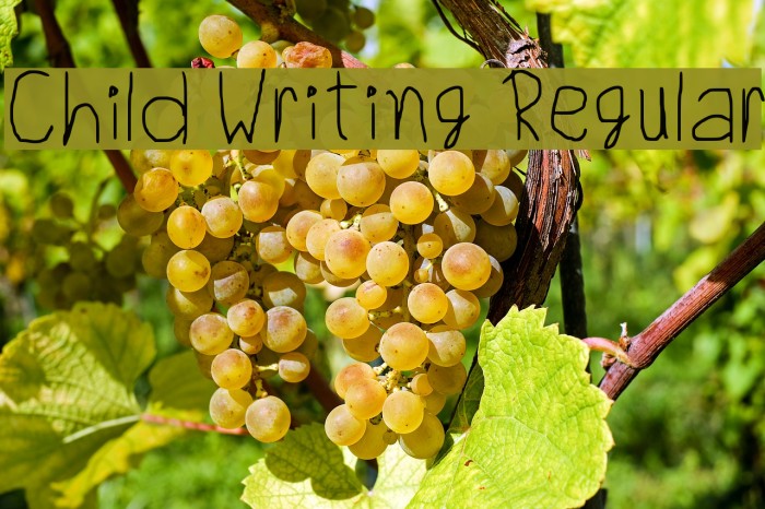 Child Writing Regular Font examples