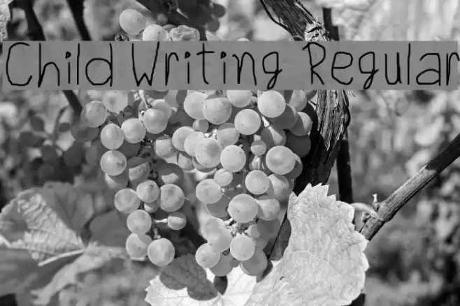 Child Writing Regular Font examples