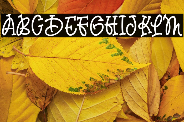 ChildDream Example 1