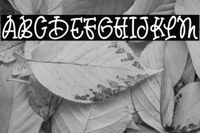 ChildDream Шрифта examples