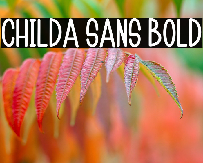 Childa Sans Bold Example 3