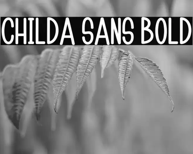 Childa Sans Bold Fonte examples