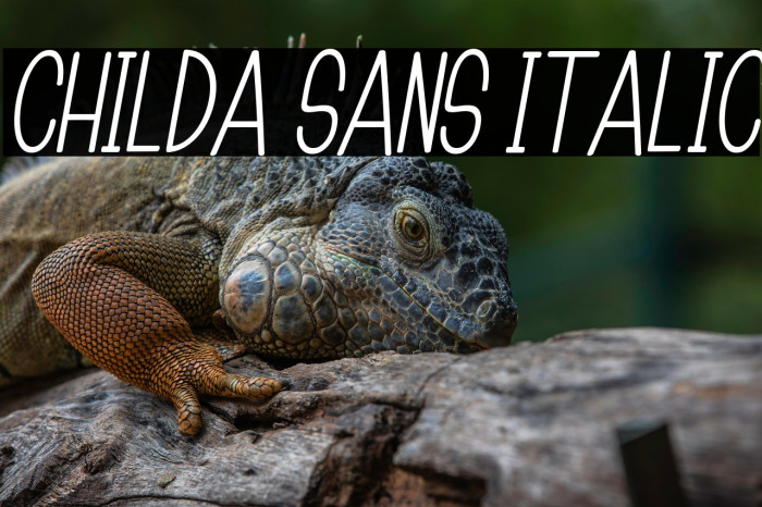 Childa Sans Italic Example 1