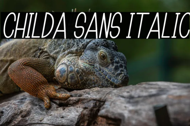Childa Sans Italic Example 1