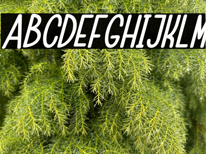 ChildaSans-BoldItalic Example 1