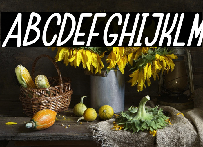 ChildaSans-BoldItalic Example 3