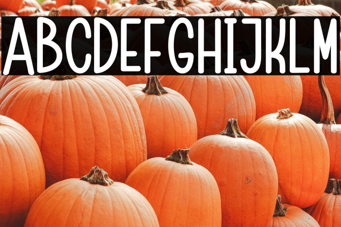 ChildaSans-Bold Example 1